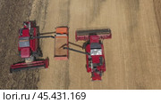 Harvester pours threshed grain into truck. Стоковое видео, видеограф Михаил Коханчиков / Фотобанк Лори