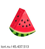 Сочный ломтик арбуза на белом фоне. Juicy watermelon slice isolated on a white background. Редакционная иллюстрация, иллюстратор Ирина Щербакова / Фотобанк Лори