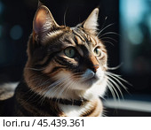 This beautiful cat with striking green eyes appears calm and composed. Its fur glistens against a blurred background, adding to its charm. Cats Felis are a genus of predatory mammals. Generative AI. Стоковое AI-изображение, AI-художник Юлия Петровская / Фотобанк Лори