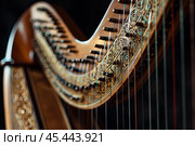 Close up of a harp with ornate carvings, highlighting the craftsmanship of string instruments. Стоковое AI-изображение, AI-художник Иван Рябоконь / Фотобанк Лори