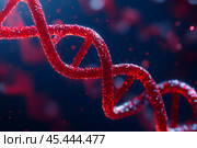 Vibrant red DNA helix set against a dark blue background. Visual of DNA double helix structure. DNA Strands. Genetic exploration, genome sequencing, change, biological kinship and genetic legacy. Стоковое AI-изображение, AI-художник Марина Демидюк / Фотобанк Лори