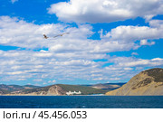 Seascape. Seagulls are flying over the sea. Reserve Bolshoi Utrish. Стоковое фото, фотограф Коханова Наталья / Фотобанк Лори
