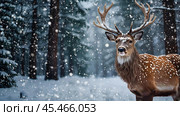 A red deer with shiny big horns in a Christmas garland in snowy weather against a forest background. Стоковое AI-изображение, AI-художник Photojuli / Фотобанк Лори