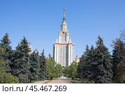 Главное здание МГУ на Воробьёвых горах в Москве, центральная башня в створе аллеи (2019 год). Стоковое фото, фотограф Солодовникова Елена / Фотобанк Лори