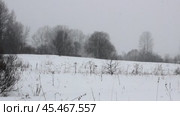 Heavy snowfall in the field. Стоковое видео, видеограф Любовь Назарова / Фотобанк Лори