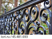 Black wrought iron fence showing intricate scrollwork. Стоковое AI-изображение, AI-художник Иван Рябоконь / Фотобанк Лори