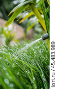 Watering green grass in garden with hose, gardening and irrigation concept. Стоковое AI-изображение, AI-художник Юрий Поздников / Фотобанк Лори