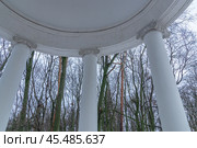 The Temple of Ceres (Golden Sheaf) is a small gazebo on the southern border of the Tsaritsyn Landscape Park. The ancient rotunda was built in 1805. The white columns of the ancient rotunda. Стоковое фото, фотограф Эдуард Белкин / Фотобанк Лори