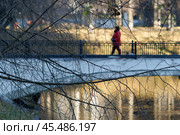 Виды парка Красная Пресня.2 ноября 2024.Москва, Россия. Стоковое фото, фотограф Артём Соболев / Фотобанк Лори