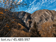 Горный пейзаж с осенними деревьями. Стоковое фото, фотограф Наталия Дмитриева / Фотобанк Лори