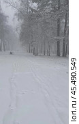 Vertical video of city alley during  snowstorm and snowfall on stormy winter day. Weather phenomenon, cyclone, bad weather, weather forecast, climate change. Winter natural background. Стоковое видео, видеограф Виктория Катьянова / Фотобанк Лори