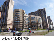Дома застройки ЦДС, Новая улица, 11к1, 7к4, Мурино, Всеволожский район, Ленинградская область. Residential buildings of CDS, Novaya Street, 11k1, 7k4, Murino, Vsevolozhsky District, Leningrad Region. (2024 год). Редакционное фото, фотограф Юрий Пуликов / Фотобанк Лори