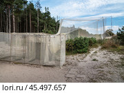 Big trap in Fringilla field ornithological station. in the Curonian Spit National Park. Russia (2021 год). Редакционное фото, фотограф Elena Odareeva / Фотобанк Лори