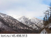 Winter landscape with snow-capped peaks of forested mountains near Goloustnaya River valley on sunny January day. Baikal region, Pribaikalsky national park. Beautiful nature background. Winter travels. Стоковое фото, фотограф Виктория Катьянова / Фотобанк Лори