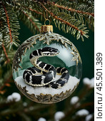 Snake, symbol of 2025 according to the eastern calendar, Christmas tree toy. The snake symbolizes wisdom, vitality, immortality and healing powers. Стоковое AI-изображение, AI-художник Сергей Елизарьев / Фотобанк Лори