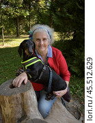 Elderly woman with black and tan dachshund sits on tree stump in summer park. Стоковое фото, фотограф Алексей Антипов / Фотобанк Лори