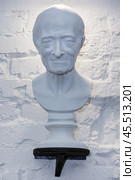 Россия. Санкт-Петербург. Бюст с изображением философа Вольтера. Russia. Saint-Petersburg. A bust depicting the philosopher Voltaire. Стоковое фото, фотограф Алексей Смышляев / Фотобанк Лори