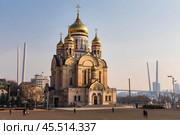 Спасо-Преображенский кафедральный собор на Светланской улице в городе Владивосток и Золотой мост через бухту Золотой рог на заднем плане. Редакционное фото, фотограф Евгений Зимин / Фотобанк Лори