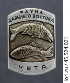 Значок металлический "Фауна дальнего востока: кета" Редакционное фото, фотограф Максим Гулячик / Фотобанк Лори