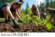 Volunteers Planting Young Trees, Reforestation Effort, Environmental Conservation, Group Activity, Nature Restoration, Green Initiative, Outdoor Community Service. Стоковое AI-изображение, AI-художник Павел Муравьев / Фотобанк Лори