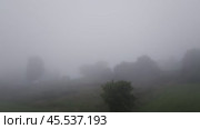 Increasing fog enveloping a tranquil landscape. Стоковое видео, видеограф Данил Руденко / Фотобанк Лори