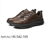 Dark brown leather lace-up running shoes with low tops, thick soles. The laces and black rubber outsole. Sporty look. Men to wear during outdoor activities, hiking. Brown shoes. Trendy Male Boots Pair. Стоковое AI-изображение, AI-художник Марина Демидюк / Фотобанк Лори