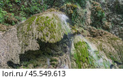 A fragment of a tropical waterfall. Thin streams of water flow down the mossy stone terraces. Green vegetation. Philippines. Cebu. Tumalog Falls. Стоковое фото, фотограф Вера Ивановна Кубарева / Фотобанк Лори