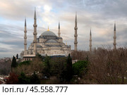 View of the Blue Mosque (Sultan Ahmed Mosque) in Sultanahmet district in the European part of Istanbul, Turkey. Стоковое фото, фотограф Ula Ulachka / Фотобанк Лори