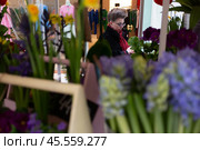 03.03.2023, Москва,  Выставка-продажа «Пассаж в цветах» в Петровском Пассаже. Посетительница выставки. Редакционное фото, фотограф Дмитрий Киселёв / Фотобанк Лори