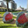 Urban sculpture in Ashdod park. Bench in the form of a fish in mosaic technique. Редакционное фото, фотограф Irina Opachevsky / Фотобанк Лори