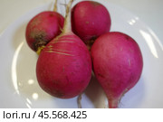 Фотография розового редиса, красной редьки на тарелке. Photo of pink radish, red radish on a plate. Стоковое фото, фотограф Юрий Пуликов / Фотобанк Лори