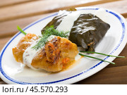 Cabbage and grape rolls in leaves at plate, dish of European cuisine. Стоковое фото, фотограф Яков Филимонов / Фотобанк Лори