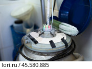 Can for storing bullseed at low temperatures in farm. Стоковое фото, фотограф Яков Филимонов / Фотобанк Лори