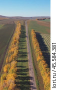 Vertical video of country road and agricultural fields after harvest at autumn time. Altai Krai. Стоковое видео, видеограф Сергей Пристяжнюк (Serg Zastavkin) / Фотобанк Лори