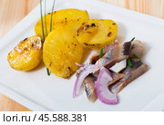 Slices of mild-cured herring with potatoes and onions served on plate. Стоковое фото, фотограф Яков Филимонов / Фотобанк Лори