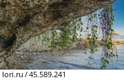 The rock overhangs the ocean. Long vines of climbing plants hang from the edge of the cliff. Leaves and stems on a blue sky background. Gazebo on the pier in the distance.Philippines. Cebu (2024 год). Стоковое фото, фотограф Вера Ивановна Кубарева / Фотобанк Лори