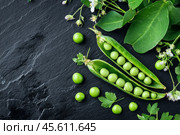 Green pea on a black background. Top view, flat lay, copy space. Fresh Peas and pea pods. A bowl of fresh green peas with pea pods. Vegetable plant food. Fresh vegetables and healthy food. Стоковое AI-изображение, AI-художник Марина Демидюк / Фотобанк Лори