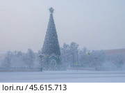 Большая новогодняя ёлка в заснеженном городском сквере. Зимний городской пейзаж. Красивая рождественская ель, украшенная звездой. Холодная погода. Морозный туман. Праздничное новогоднее и рождественское настроение. Город Иркутск, Иркутская область, Сибирь, Россия. Стоковое фото, фотограф Андрей Степанов / Фотобанк Лори