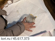 Женщина упаковывает елочную игрушку во время предпраздничной распродаже новогодних товаров в Главном универсальном магазине (ГУМ) в центре города Москвы, Россия. Редакционное фото, фотограф Николай Винокуров / Фотобанк Лори