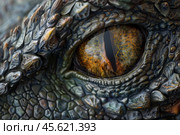 Dragon eye staring showing scaley skin and fiery pupil. Стоковое AI-изображение, AI-художник Иван Рябоконь / Фотобанк Лори