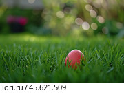 Red easter egg hiding in green grass blades. Стоковое AI-изображение, AI-художник Иван Рябоконь / Фотобанк Лори