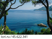Coastline of the adriatic sea framed by maritime pines in brela, croatia. Стоковое AI-изображение, AI-художник Иван Рябоконь / Фотобанк Лори