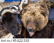 Лежащие на прилавке медвежья шкура и шкура барсука. Стоковое фото, фотограф Вячеслав Палес / Фотобанк Лори