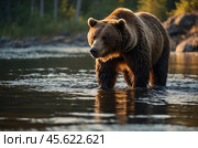 A brown bear is fishing in a river in the forest against the background of sunset. Стоковое AI-изображение, AI-художник Александр Поташев / Фотобанк Лори