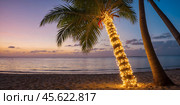 Palm trees decorated with Christmas lights against a tropical beach sunset. Concept of holiday celebrations in warm, tropical climates. Стоковое AI-изображение, AI-художник Александр Поташев / Фотобанк Лори