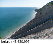 Olive tree branches with sea in the background. Стоковое фото, фотограф Фотограф / Фотобанк Лори