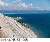 Olive tree branches with sea in the background. Стоковое фото, фотограф Фотограф / Фотобанк Лори