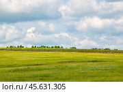 Ограда. Поселок Люры. Тажеранские степи. Иркутская область (2024 год). Стоковое фото, фотограф Александр Тараканов / Фотобанк Лори