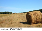 Летний сельский пейзаж, тюки сена на убранном поле. Стоковое фото, фотограф Косиненко Юрий / Фотобанк Лори