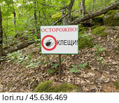 Табличка "Осторожно! Клещи!" на горе Аю-Даг, Крым (2023 год). Стоковое фото, фотограф Мария Кылосова / Фотобанк Лори